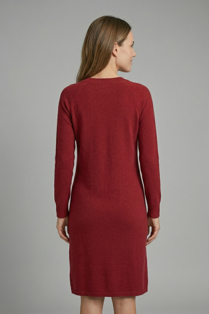 Women’s Dress with V Neck and Long Sleeves